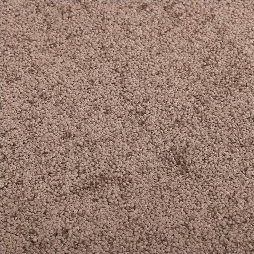 Doormat Brown 60x80 cm