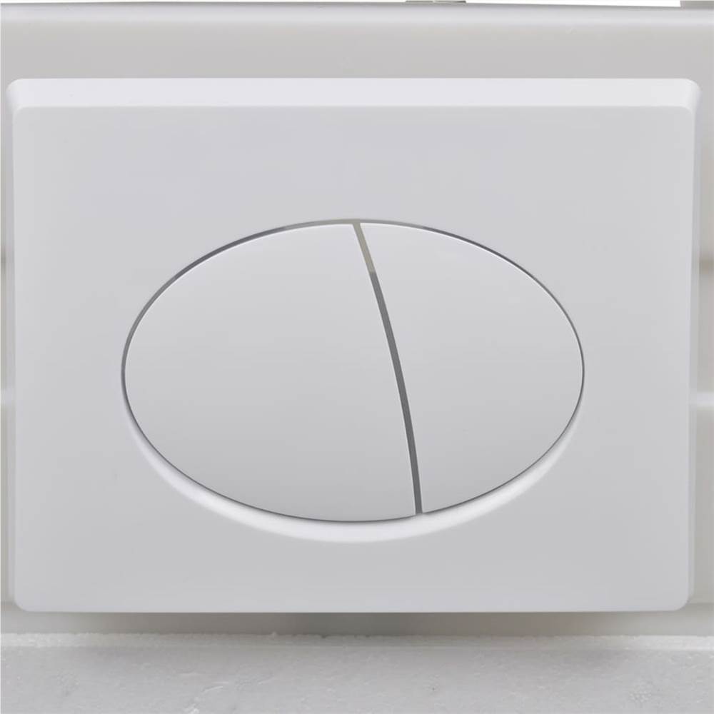 Wall Hung Rimless Toilet with Concealed Cistern Ceramic Black
