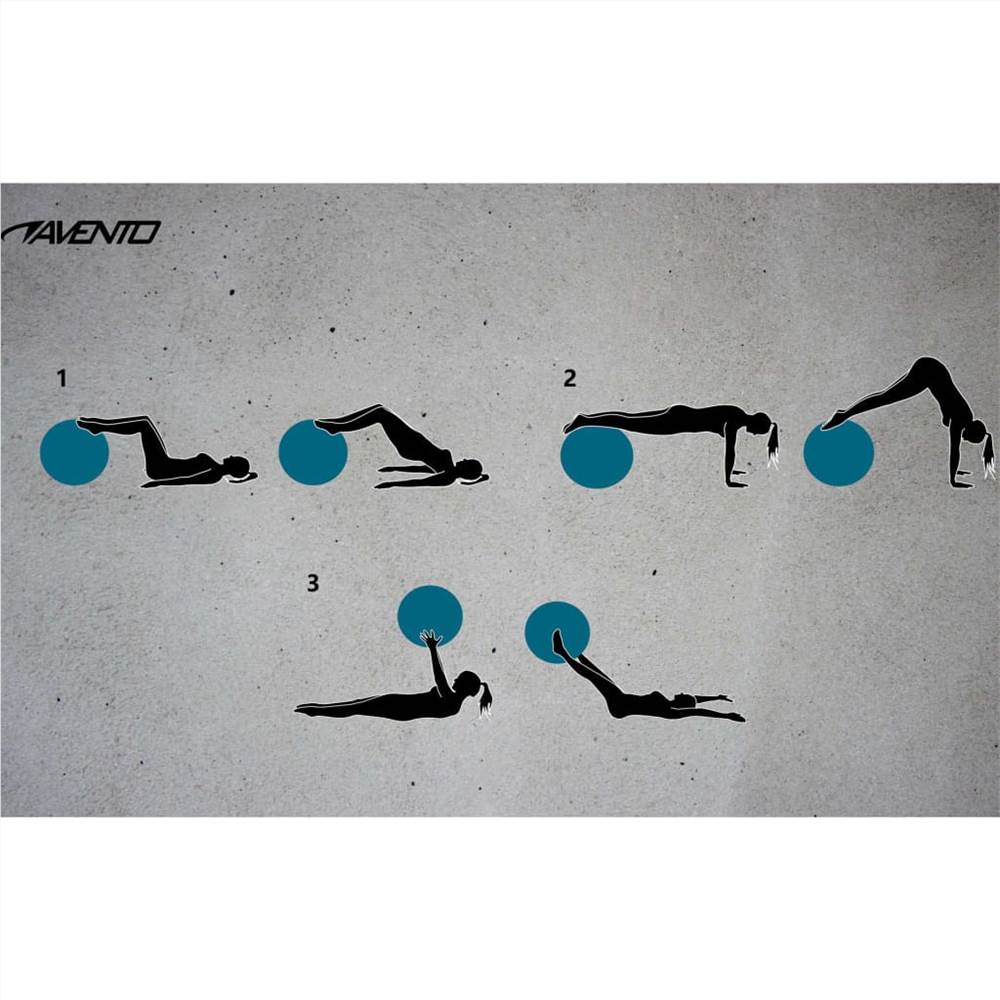Avento Fitness/Gym Ball + Pump Dia. 65 cm Silver