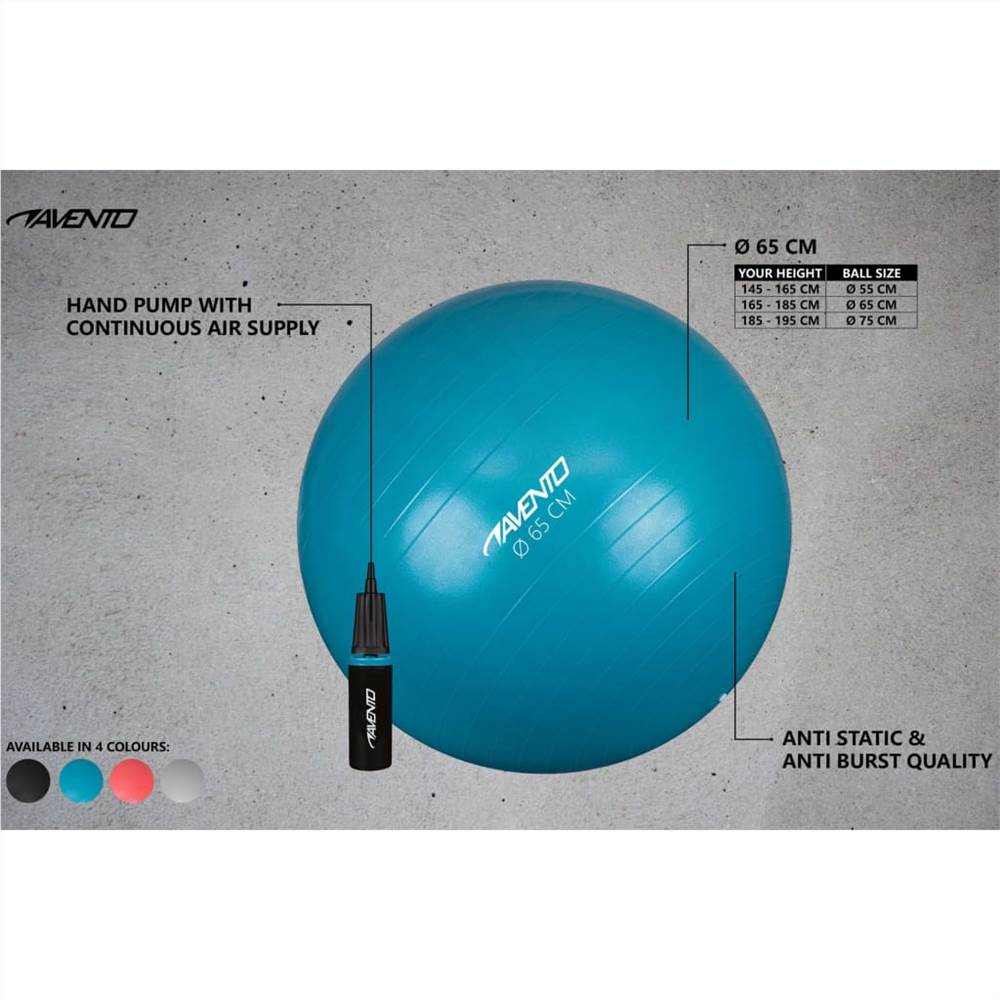 Avento Fitness/Gym Ball + Pump Dia. 65 cm Silver