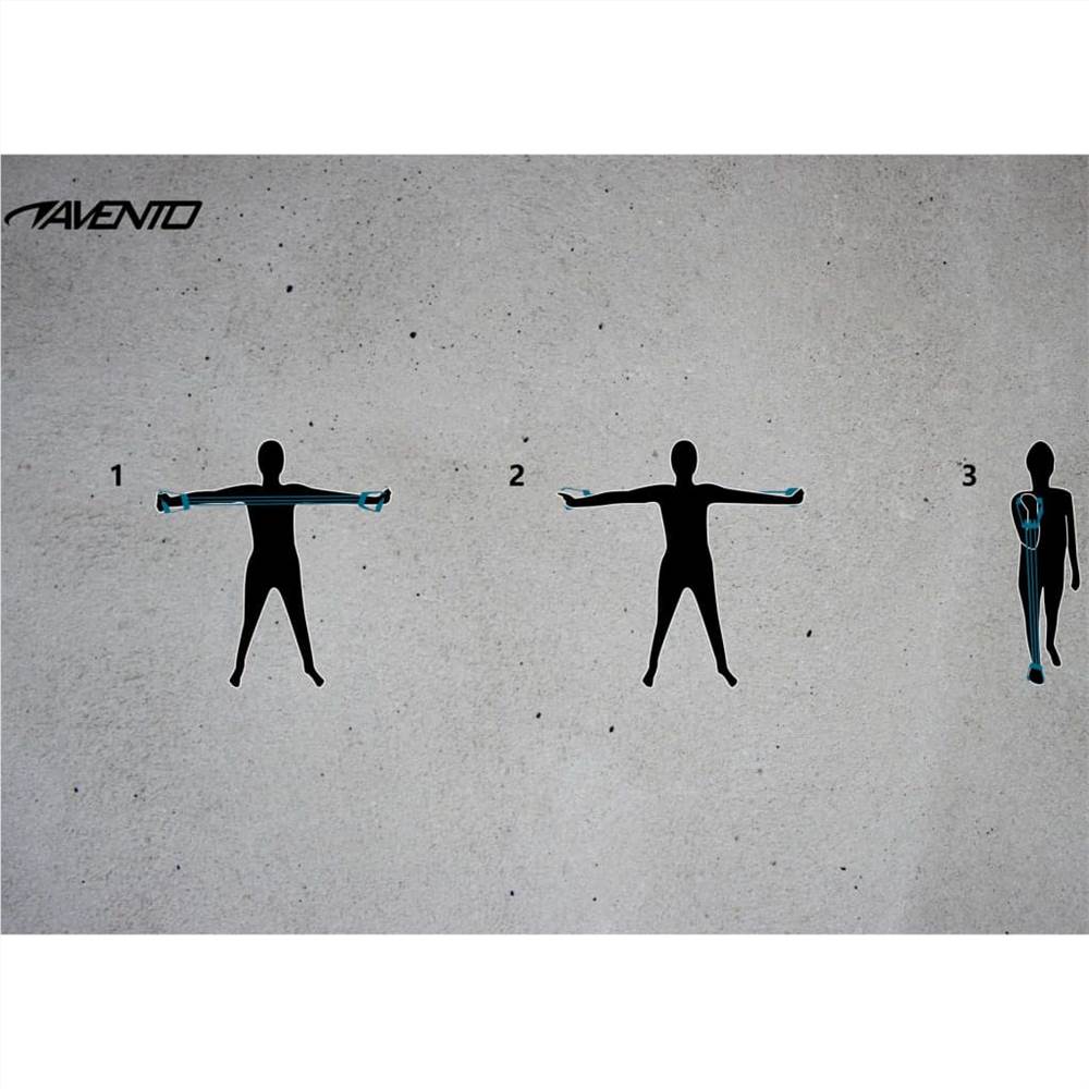 Avento Fitness Chest Expander Adjustable