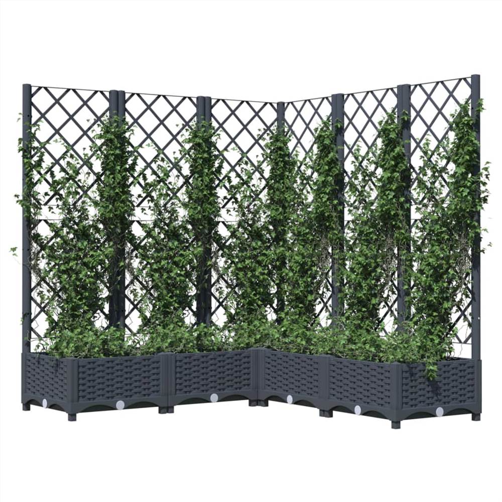 Garden Planter with Trellis Dark Grey 120x120x121.5 cm PP