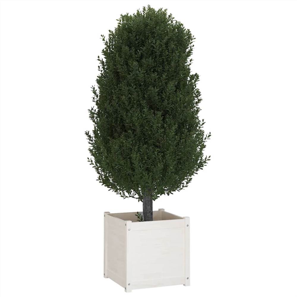 Garden Planters 2 pcs White 50x50x50 cm Solid Pinewood