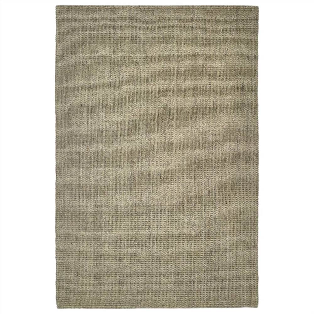 Rug Natural Sisal 100x150 cm Taupe
