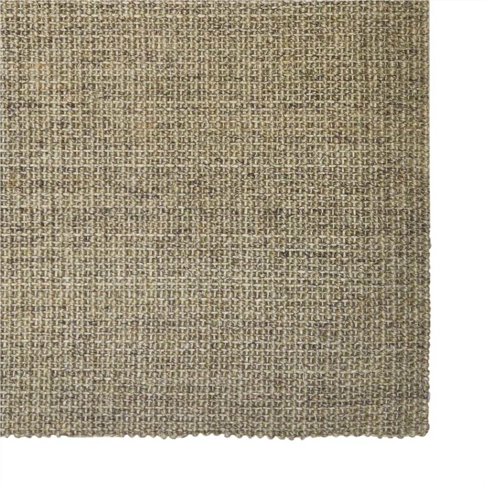 Rug Natural Sisal 100x150 cm Taupe