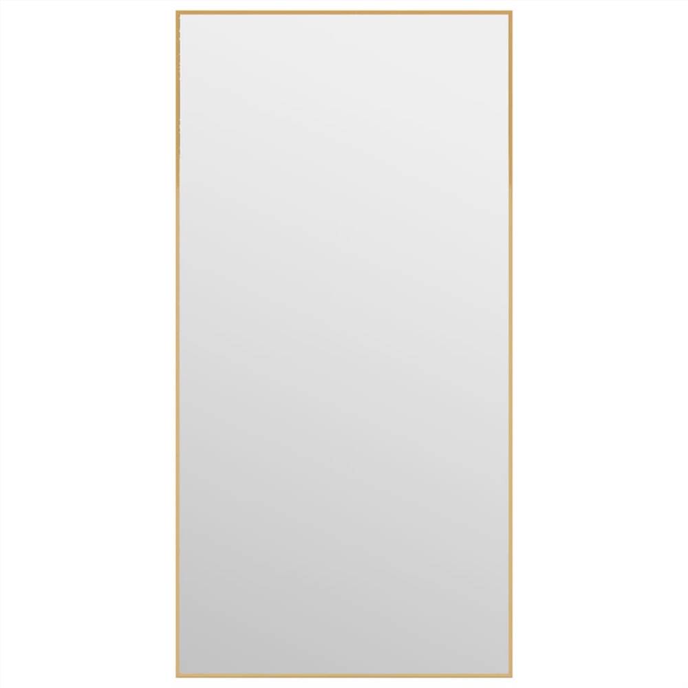 Door Mirror Gold 40x80 cm Glass and Aluminium