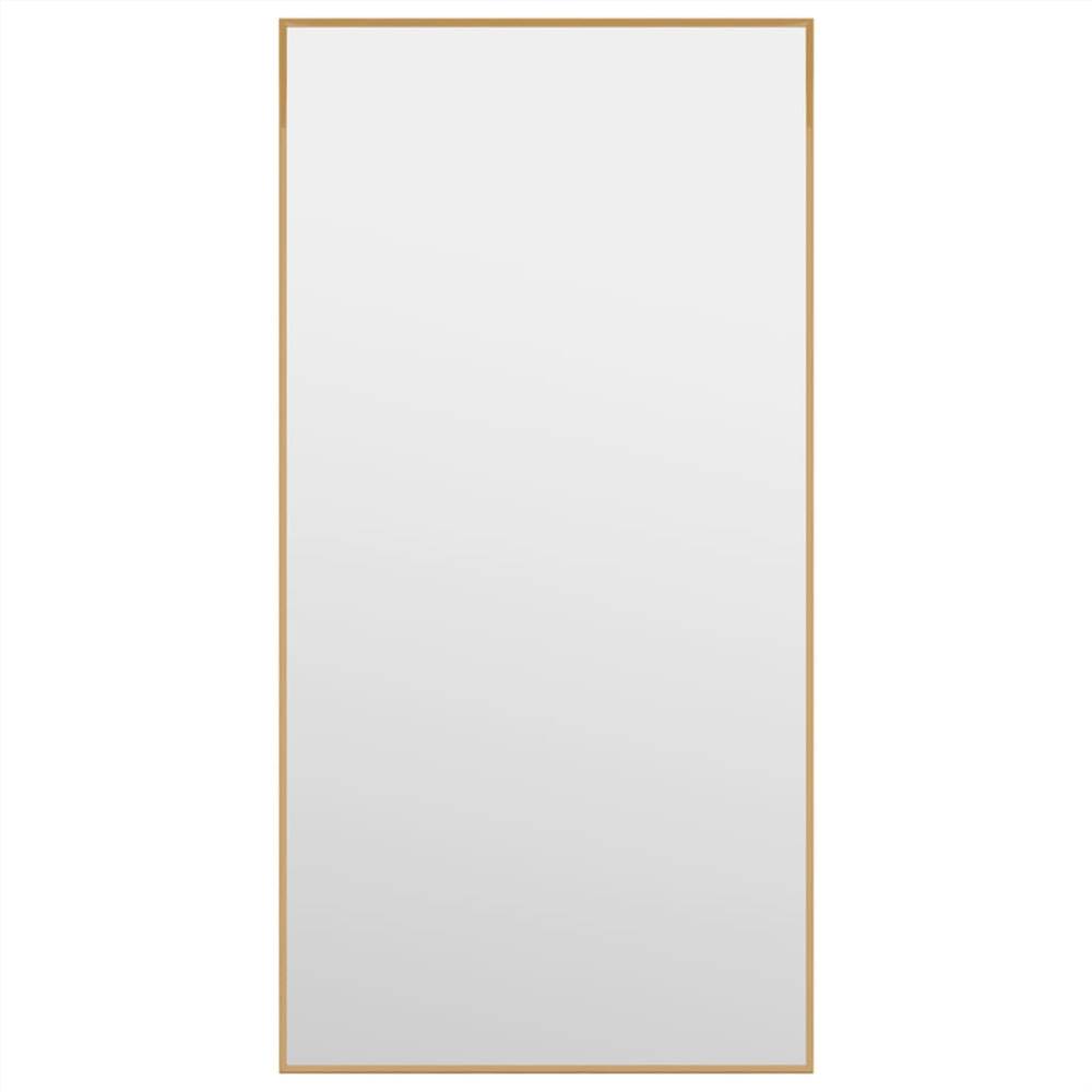 Door Mirror Gold 30x60 cm Glass and Aluminium