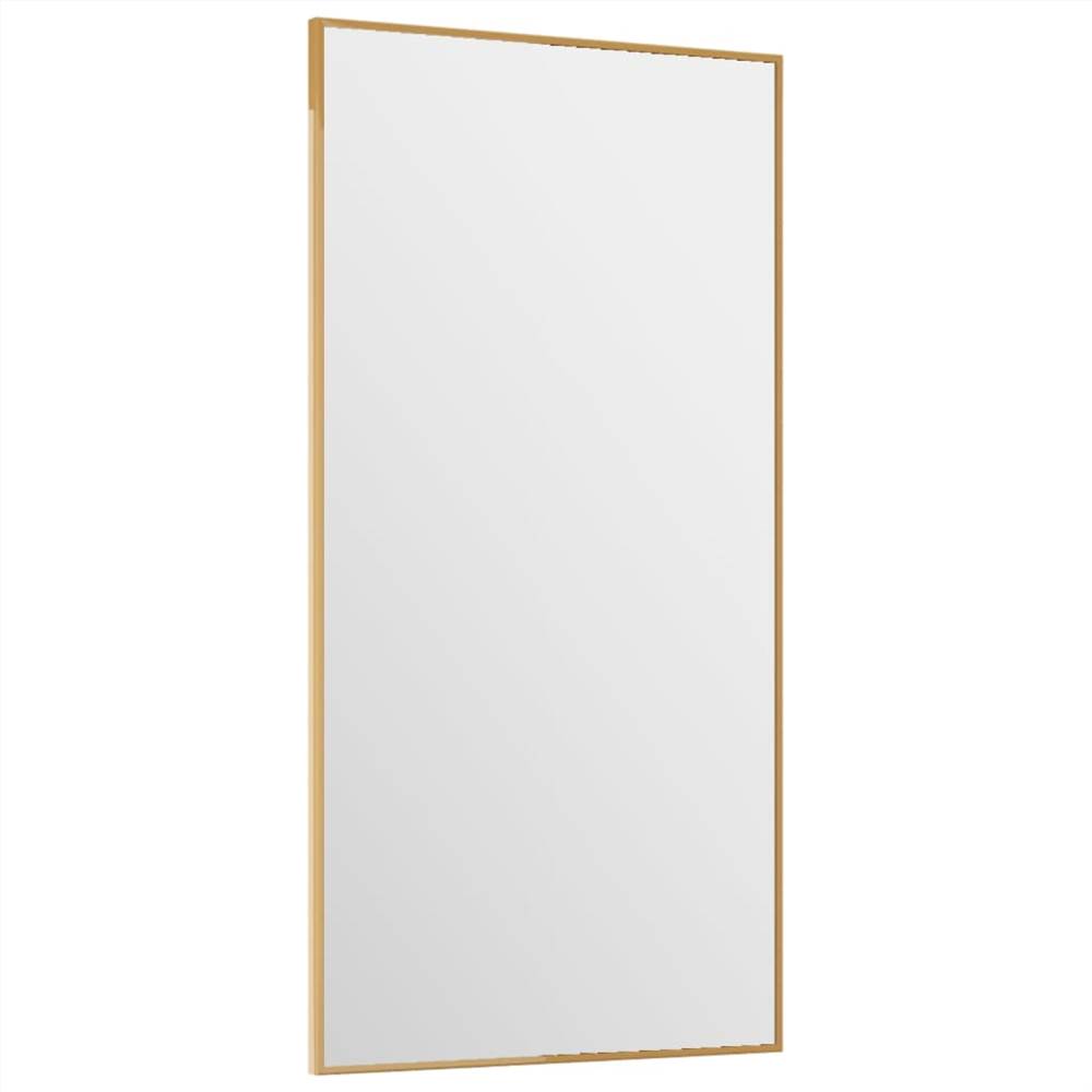 Door Mirror Gold 30x60 cm Glass and Aluminium
