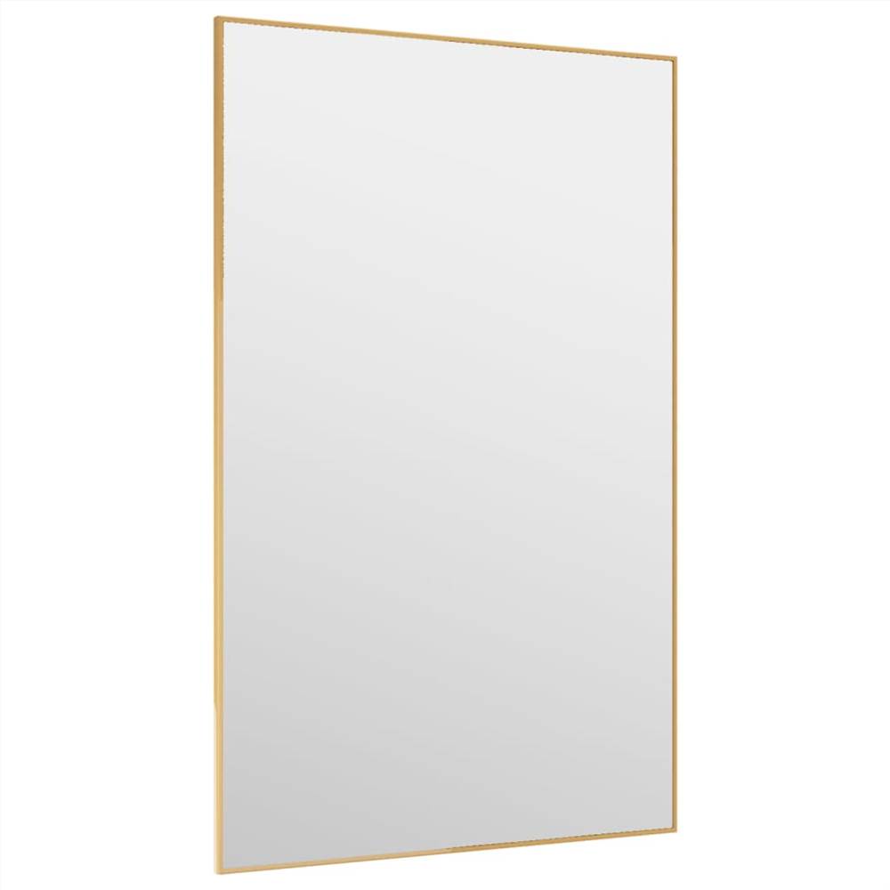 Door Mirror Gold 50x80 cm Glass and Aluminium