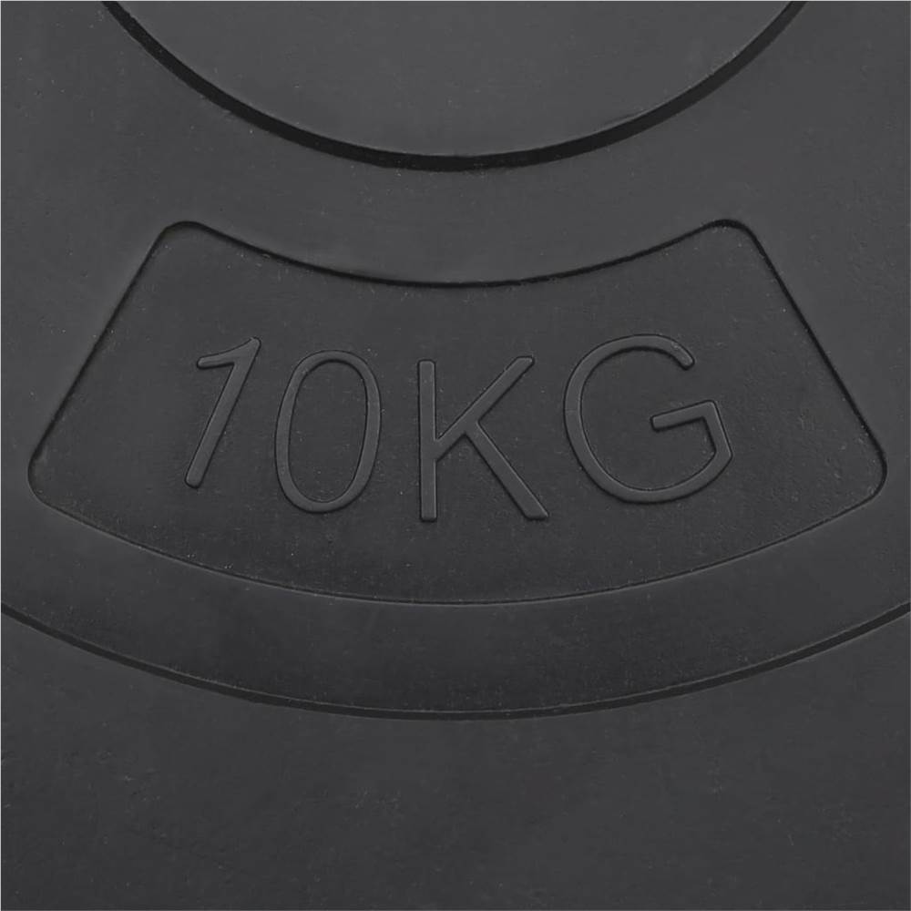 Weight Plates 4 pcs 30 kg Cement