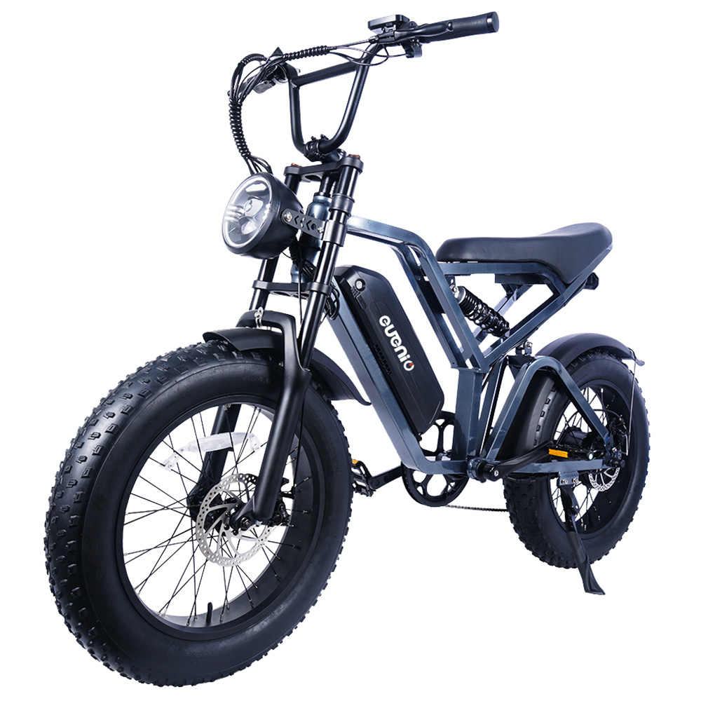 

EUENI FXH009 Electric Mountain Bike 20*4.0 inch Tire 48V 750W Motor 45km/h Max Speed 15Ah Battery 96km Range Shimano 7-speed Gear - Grey