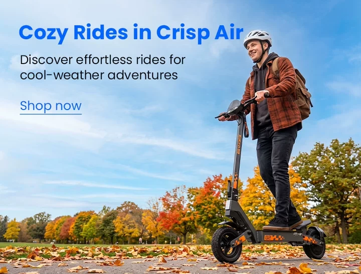 Electric Scooters