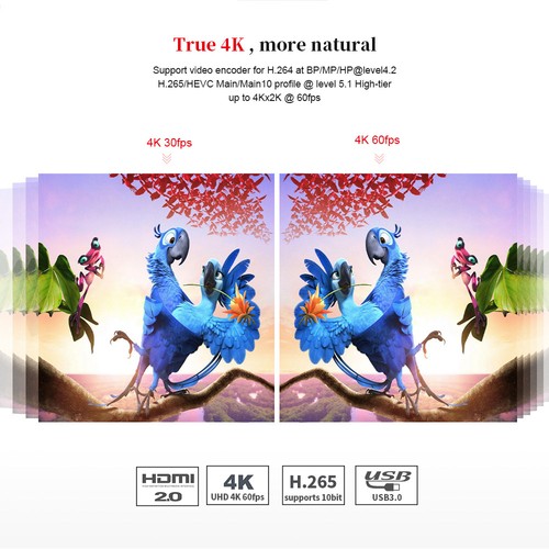 Beelink GT1 MINI Amlogic S905X2 Android 8.1 4GB DDR4 32GB eMMC 4K TV Box with Voice Remote Dual Band WiFi Gigabit LAN Bluetooth USB3.0