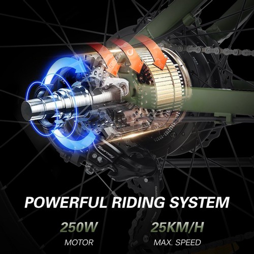 KAISDA K1-V Electric Bike 26 Inch Foldable Mountain Bike 250W Motor 25Km/h Max Speed 36V 10.4Ah Battery 70KM Max Range 120KG Max Load - Black