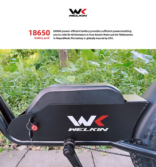 WELKIN WKEM003 Electric Bike 20 Inch Retro Bicycle 1200W Motor 48V 18Ah Battery 60-70km Range 45km/h Max Speed - Black