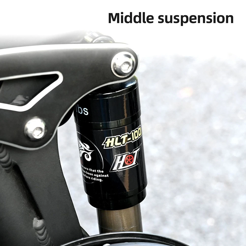 ENGWE X Bicicletă electrică pliabilă 20 * 4.0 inch Chaoyang Off-Road Anvelope groase Motor 250W E-Bike Baterie 48V 13Ah Viteză maximă 25 km/h Autonomie 100 km Frână cu disc dublu Sarcină maximă 150 kg - Negru