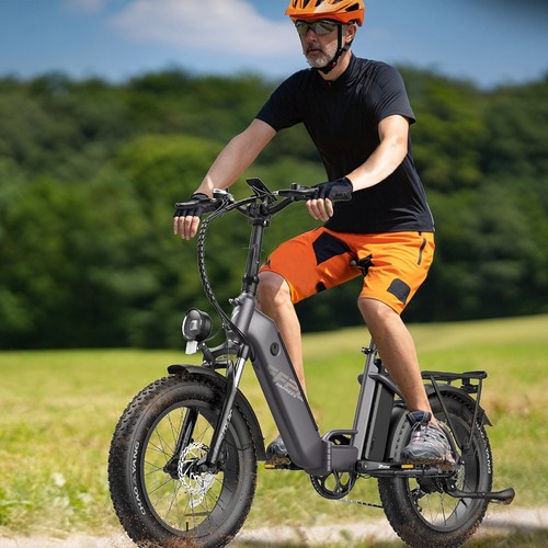 FF20 Polar Elektrofahrrad 48V 500W Motor 40Km/h Höchstgeschwindigkeit Dual 10.4Ah Akkus für 150KM Reichweite 20*4.0 Zoll CHAOYANG Fat Tire Doppelscheibenbremsen Shimano 7-Gang-Getriebe LCD-Farbdisplay - Weiß