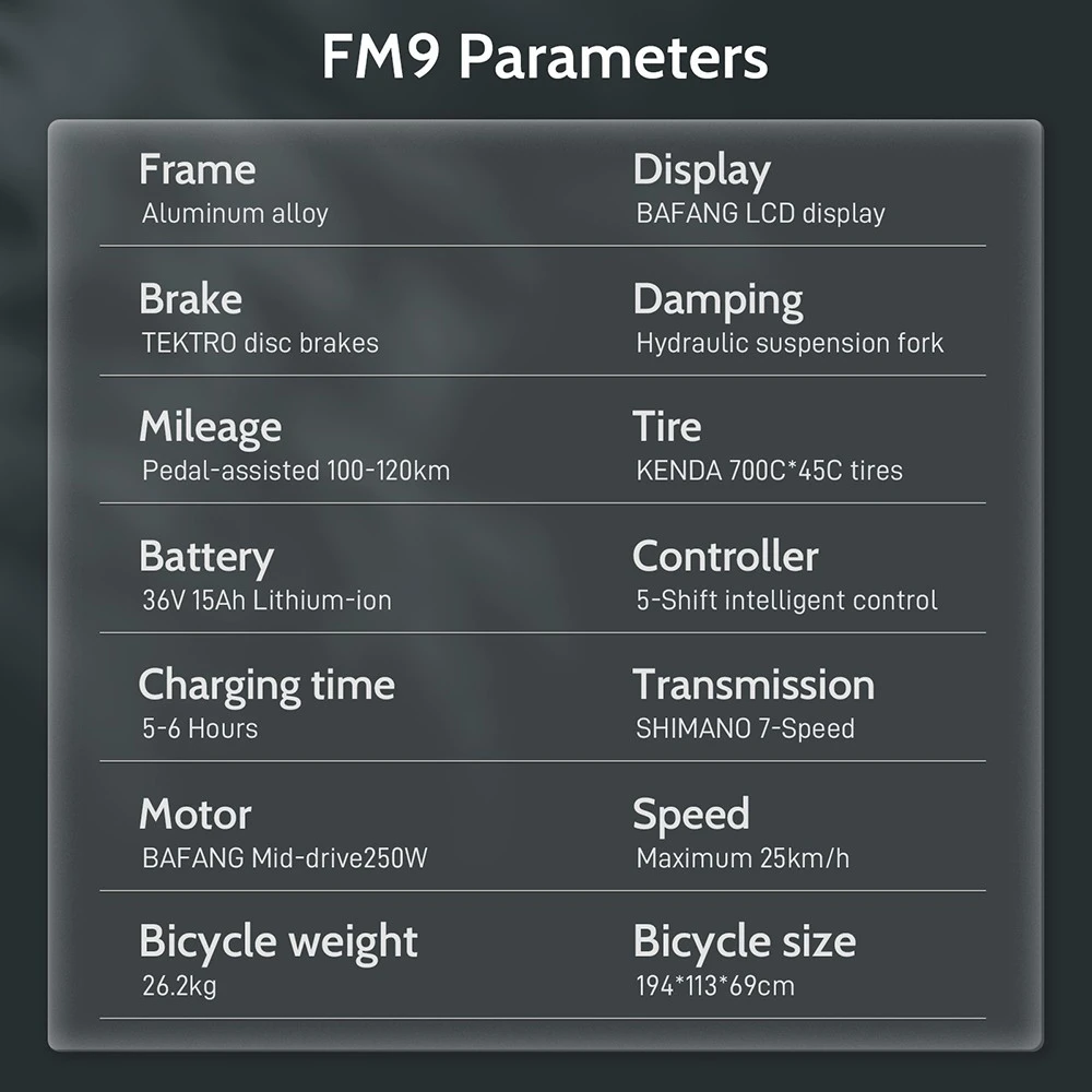 Bicicleta eléctrica Fafrees FM9