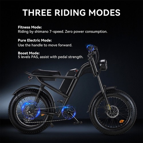 Riding' times Z8 Electric Bike 20*4.0 inch CHAOYANG Fat Tire 48V 500W Motor 45km/h Max Speed 15Ah Battery 120km Max Range Dual Mechanical Disc Brake Shimano 7-Speed