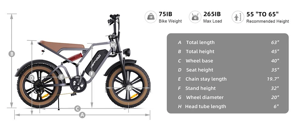 HAPPYRUN G60 Electric Bike 20 inch Fat Tire 48V 750W Brushless Motor 48V 18Ah Removable Battery 25km/h Max Speed