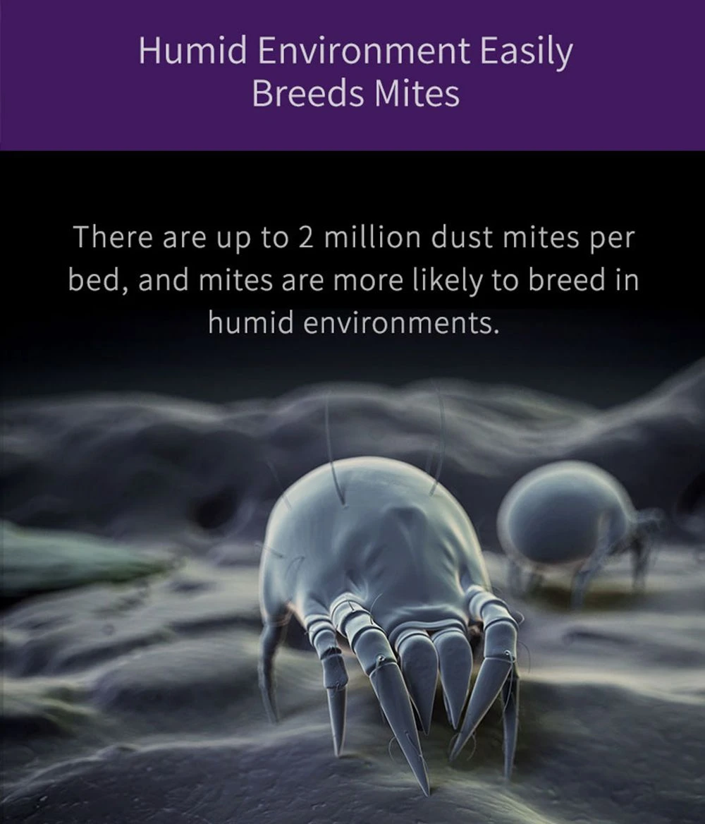 Aspirator de mână anti-acarieni JIMMY JV35 recondiționat Acaricid UV la temperatură înaltă 14Kpa Aspirație puternică 700W Putere 5S Colector de praf cu încălzire rapidă Versiune internațională de la Xiaomi Youpin - Gri