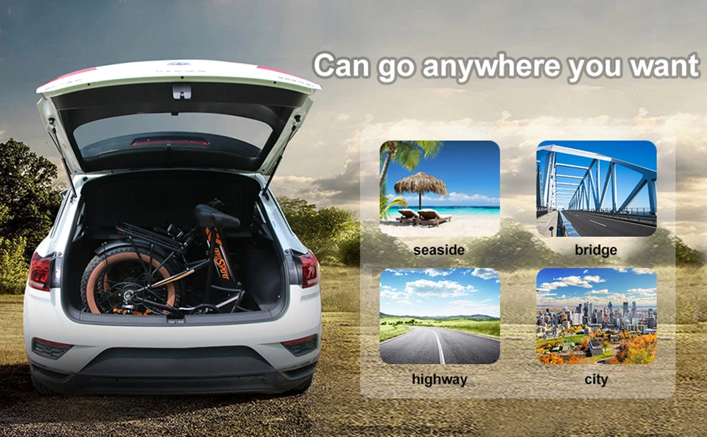 ONESPORT OT29 Elcykel 20*4,0 tum Fat Däck 250W Motor 25 km/h Hastighet 48V 17Ah Batteri 120 km Max Räckvidd Shimano 7-växlad