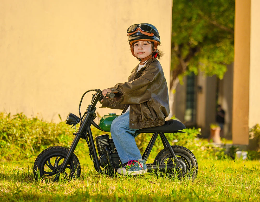 Moto eléctrica Hyper Gogo Pioneer 12 Plus