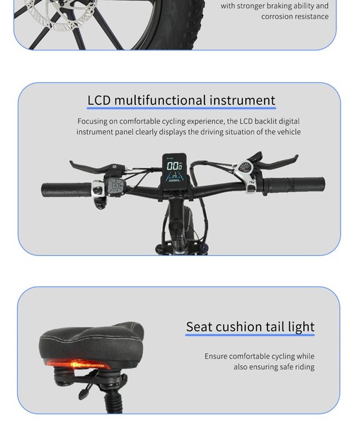 CMACEWHEEL T20 Electric Bike 20*4.0 inch CST Tire 750W Motor 40-45km/h Max Speed 17Ah Battery - Black