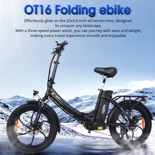 ONESPORT OT16 20*3.0 inch Tires Electric Bike, 350W Motor 48V15Ah Battery 25km/h Max Speed Disc Brakes