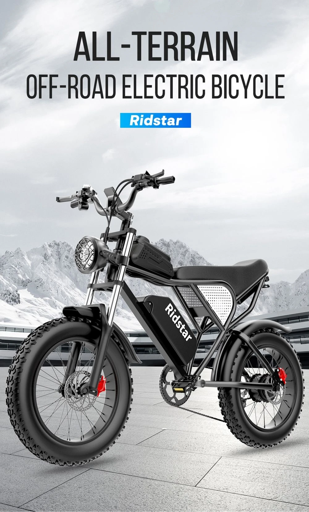 Ridstar Q20 Electric Bike, 1000W Brushless Motor 20*4 Inch Fat Tires 48V 20Ah Removable Battery 30mph Max Speed 75miles Max Range Hydraulic Disc Brake
