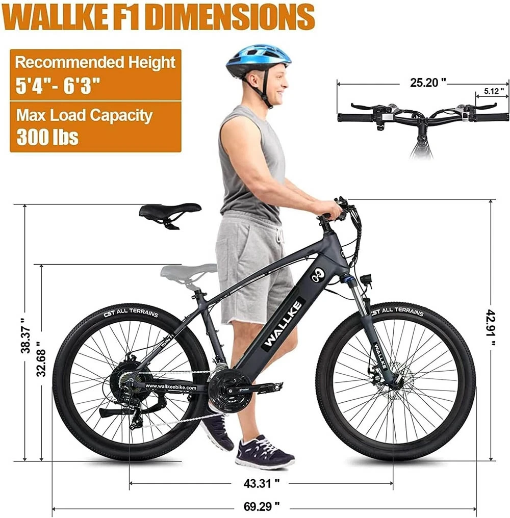 WALLKE F1 Mountain Electric Bike, 26