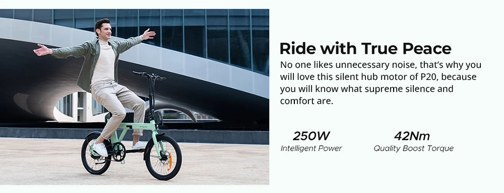 ENGWE P20 Folding Electric Bike, 250W Silent Motor Torque Sensor, 36V 9.6A Battery, 20*1.95'' Tires, 25km/h Max Speed, 100km Range, Hydraulic Disc Brakes - Black