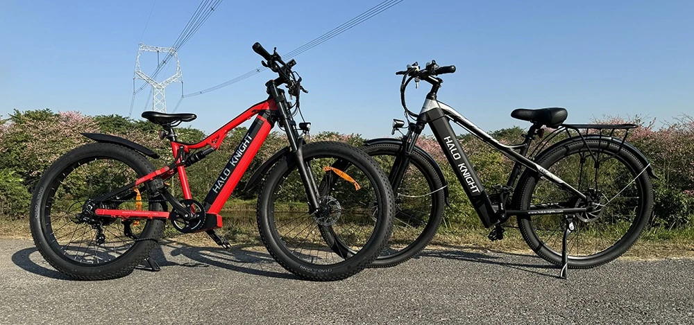 Elektrický bicykel Halo Knight H02, bezkartáčový motor 750 W, batéria 48 V 16 Ah, pneumatiky 29 x 2,1 palca, maximálna rýchlosť 50 km/h, maximálny dojazd 60 km, radenie Shimano 21 rýchlostí, mechanická kotúčová brzda - čierna