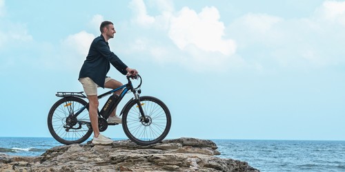 Vélo électrique DUOTTS C29 750 W Roue 29 x 2,1 pouces Batterie 48 V 15 Ah Autonomie 50 km Vitesse maximale 50 km/h Shimano 21 vitesses Vélo de montagne électrique avec porte-bagages arrière IP54 Étanchéité Smart APP - Noir