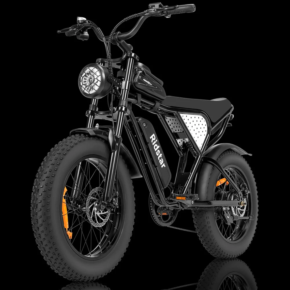 Ridstar Q20 Mini Electric Bike, 1000W Motor, 48V 15AH Battery, 20*4.0 inch Fat Tires, 40km/h Max Speed, 80km Range, Front Suspension Fork, Mechanical Disc Brakes