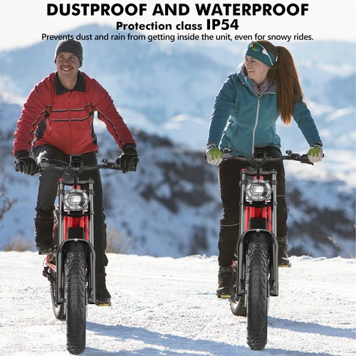 Hidoes B6 Electric Bike, 1200W Motor, 48V 15Ah Battery, 20"x4" Fat Tires, 50km/h Max Speed, 75km Range, Front & Rear Oil Disc Brakes, Hydraulic Shock Absorber - Red