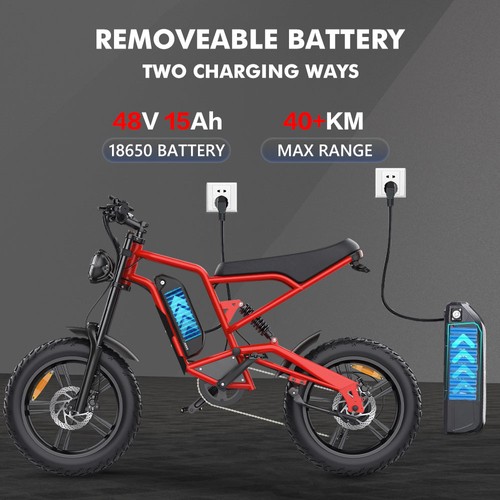 Hidoes B6 Electric Bike, 1200W Motor, 48V 15Ah Battery, 20"x4" Fat Tires, 50km/h Max Speed, 75km Range, Front & Rear Oil Disc Brakes, Hydraulic Shock Absorber - Red