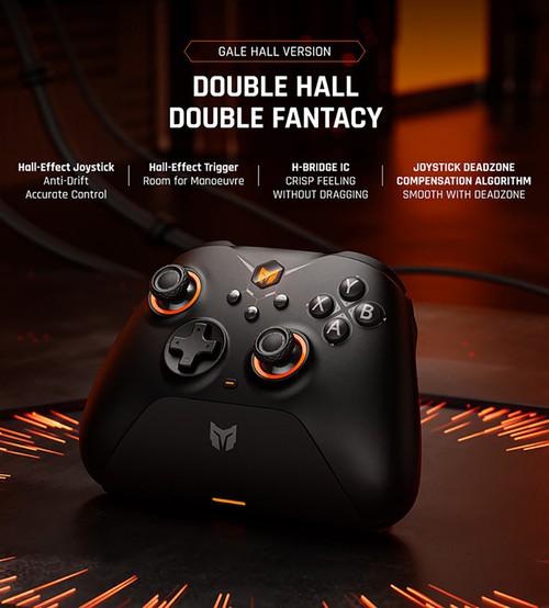 BigBig Won Gale Hall full review : r/Controller