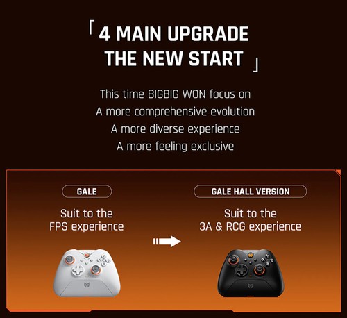 BIGBIG WON GALE HALL Wireless Game Controller