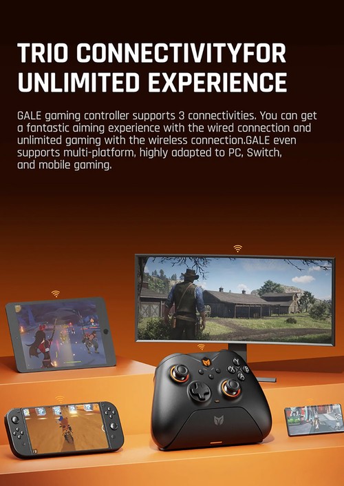BIGBIG WON GALE HALL Wireless Game Controller