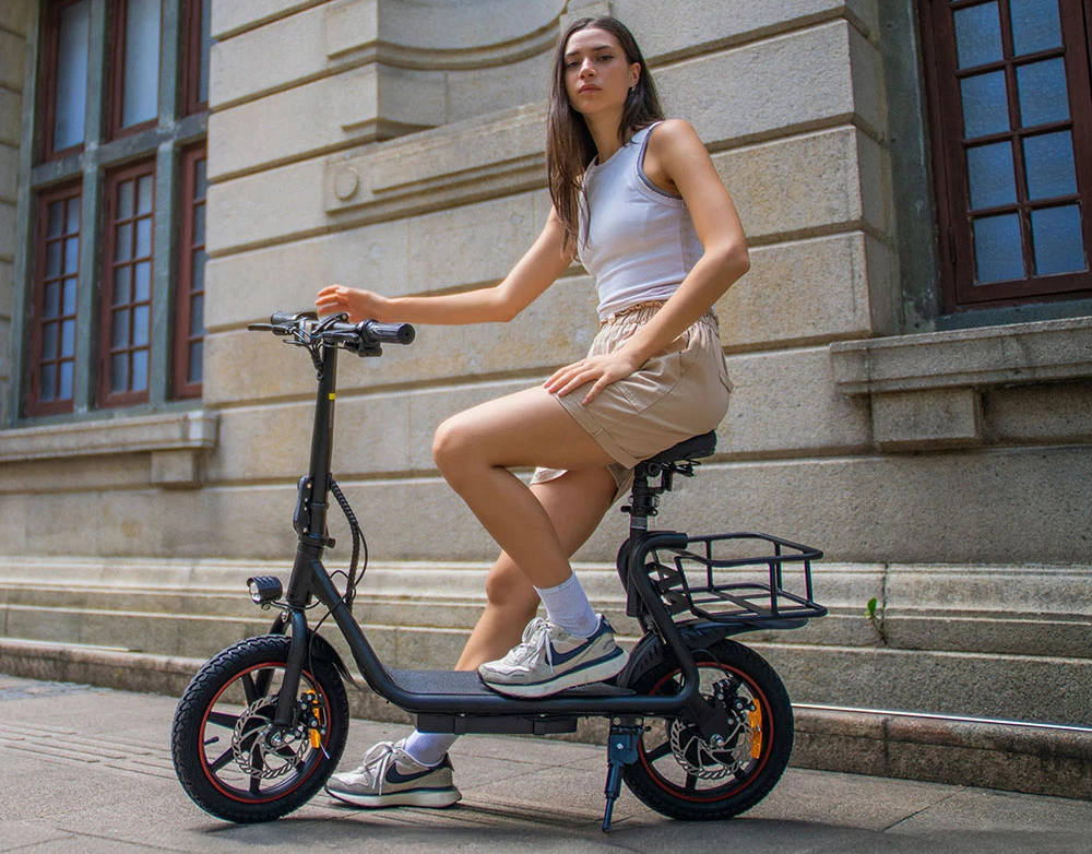 DYU C4 Folding Electric Scooter, 250W Motor, 36V 10AH Battery, 14 Inch Tires, 25km/h Max Speed, 42km Range, Front & Rear Disc Brakes