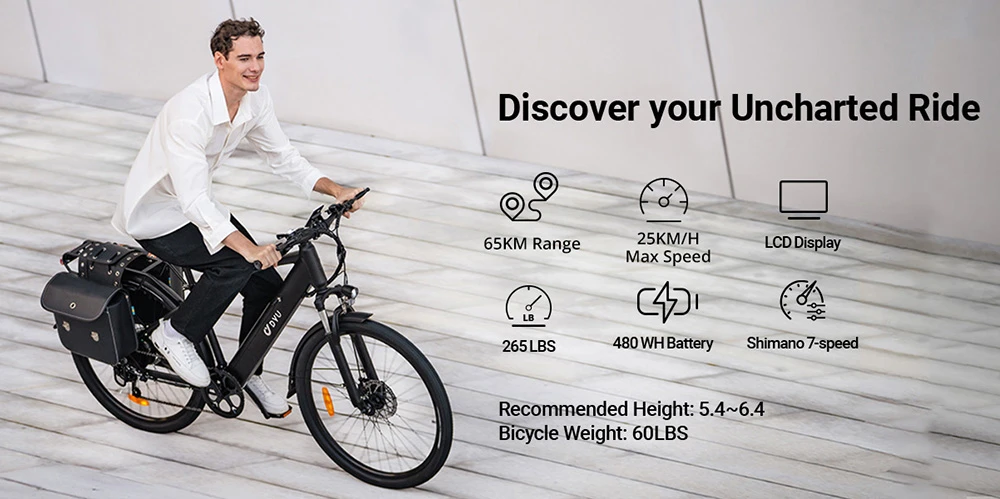 DYU C5 City Electric Bike, 250W Motor, 48V 10AH Battery, 27.5 Inch Tire, 25km/h Max Speed, 65km Range, Dual Disc Brakes, Shimano 7-speed