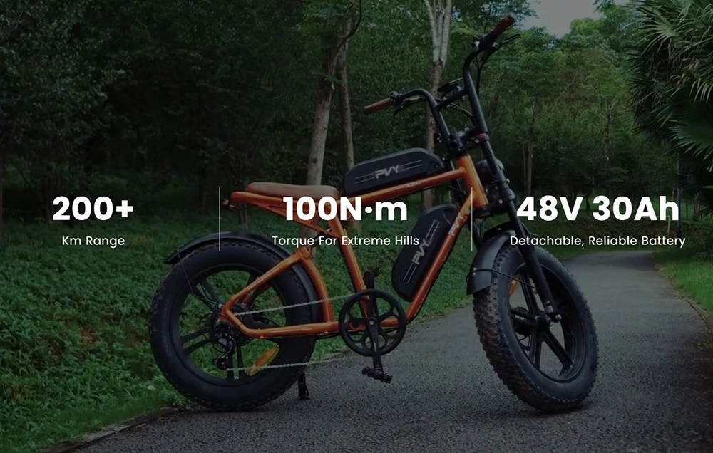 PVY X20 Electric Bike, 1000W Motor, 48V 30Ah Dual-battery, 20*4.0'' Fat Tire, 50km/h Max Speed, 200km Max Range, Hydraulic Disc Brake, Suspension Fork, SHIMANO 7-speed, LCD Display - Orange