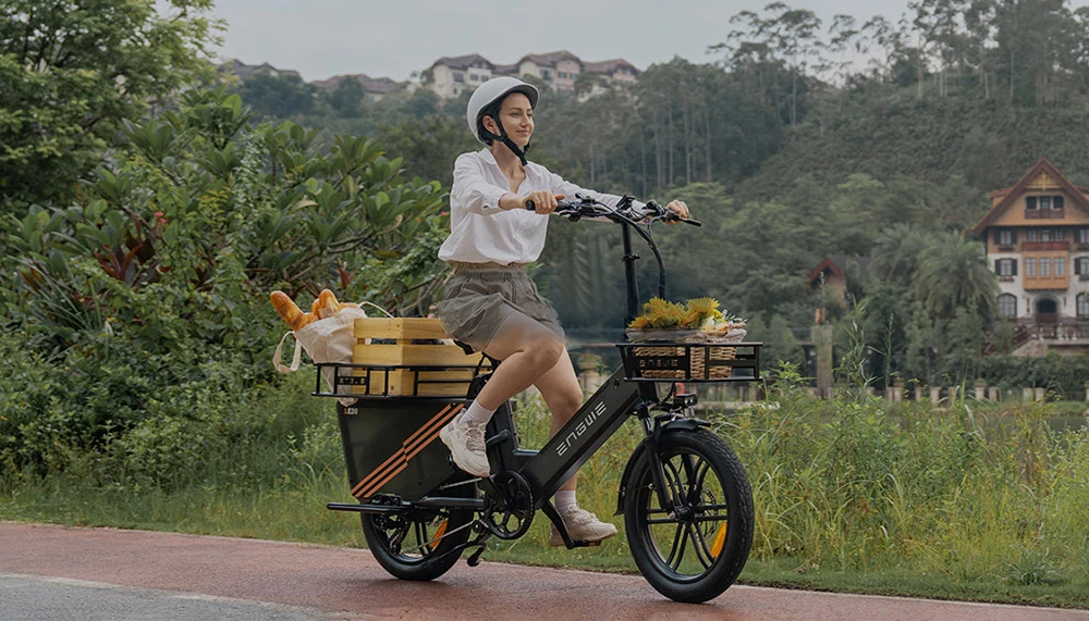 ENGWE LE20 Cargo Electric Bike, 250W Mid-drive Motor, Torque Sensor, 48V 19.2Ah Battery, 20x3.0-inch Tires, 25km/h Max Speed, 180km Range, Hydraulic Disc Brakes, Front Suspension, SHIMANO 7-Speed, 200kg Cargo Capacity - Blue