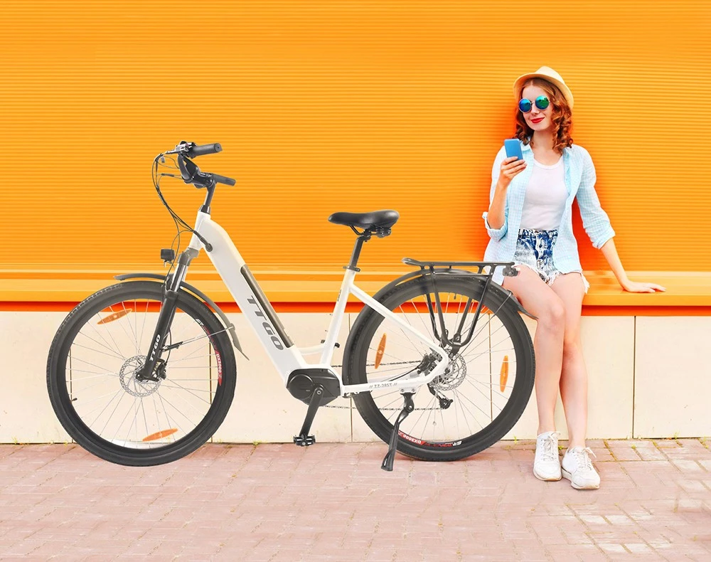 TTGO LK-ZZ-28ST Electric Bike, 250W Motor, 36V 20AH Battery, 700C*45C Tires, 25km/h Max Speed, 180km Range, Hydraulic Disc Brake, Shimano 9 Speed, LCD Display - Black