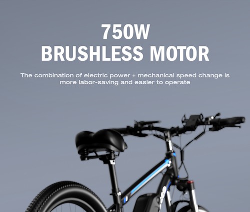 Vélo électrique E·Bycco E8, moteur 750 W, batterie 48 V 17,5 Ah, pneu 29 pouces, vitesse maximale 48 km/h, autonomie 105 km, frein à disque mécanique, fourche à suspension avant, Shimano 21 vitesses, écran LCD