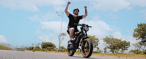 isinwheel R6 Electric Bike, 250W Motor, 48V 13Ah Battery, 20*4-inch Tires, 45km/h Max Speed, 100km Range, Dual Disc Brakes, Hydraulic Front Fork + Rear Shock Absorber, Shimano 7-speed, LCD Display