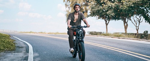 isinwheel R6 Electric Bike, 250W Motor, 48V 13Ah Battery, 20*4-inch Tires, 45km/h Max Speed, 100km Range, Dual Disc Brakes, Hydraulic Front Fork + Rear Shock Absorber, Shimano 7-speed, LCD Display