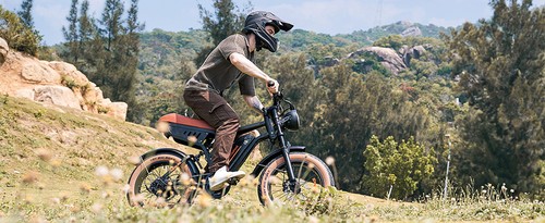 isinwheel R6 Electric Bike, 250W Motor, 48V 13Ah Battery, 20*4-inch Tires, 45km/h Max Speed, 100km Range, Dual Disc Brakes, Hydraulic Front Fork + Rear Shock Absorber, Shimano 7-speed, LCD Display
