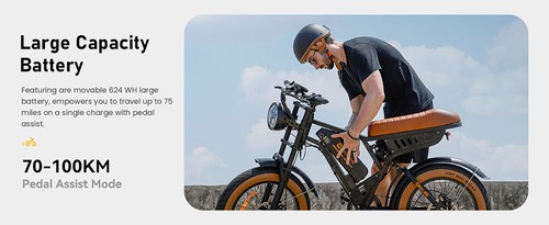 isinwheel R6 Electric Bike, 250W Motor, 48V 13Ah Battery, 20*4-inch Tires, 45km/h Max Speed, 100km Range, Dual Disc Brakes, Hydraulic Front Fork + Rear Shock Absorber, Shimano 7-speed, LCD Display